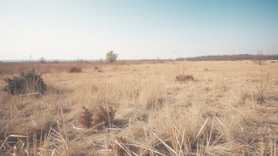 Co oznacza najwyższy stopień zagrożenia pożarowego?