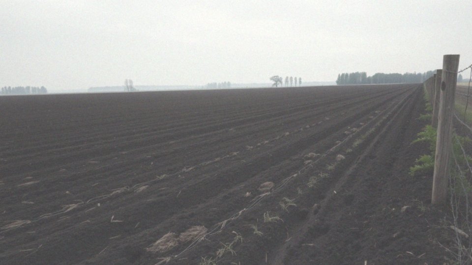 Jakie są zagrożenia dla czarnoziemów w Polsce?