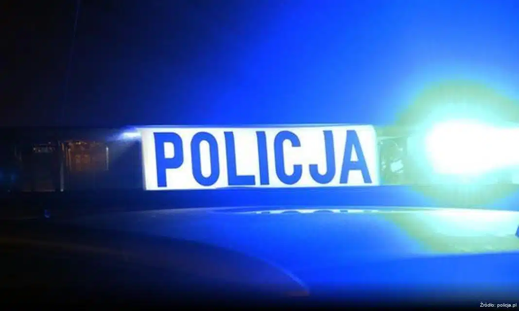 Zatrzymanie 20-latka podejrzanego o kradzieże na terenie gminy Michałów