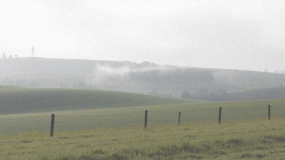 Virgin Mobile zasięg – sprawdź pokrycie i jakość usług